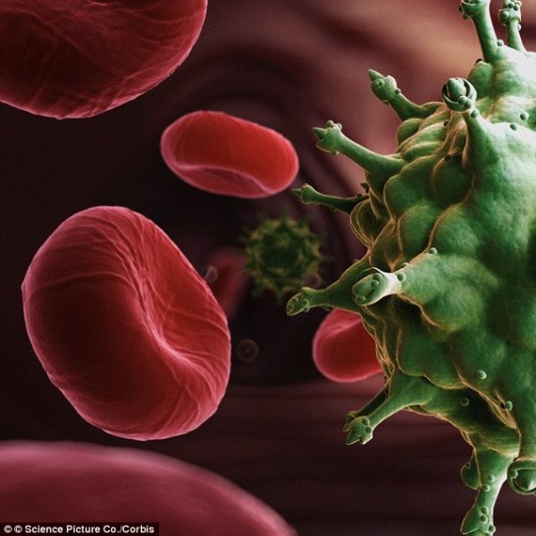 科学家首次从人体DNA中删除了HIV病毒