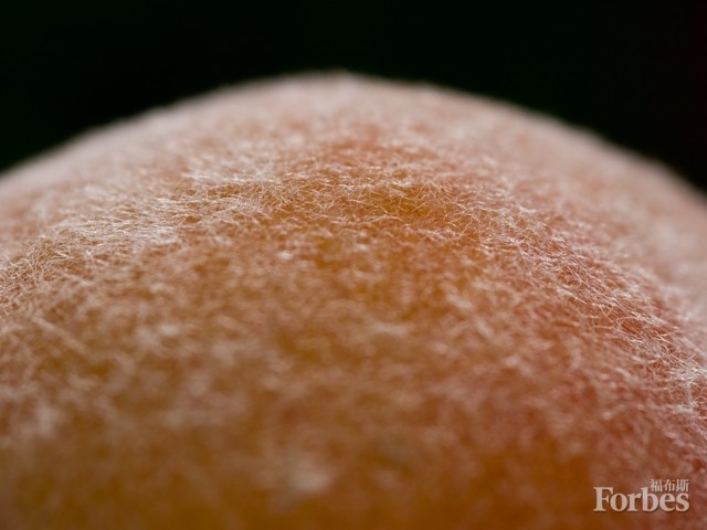桃子表面绒毛的特写。