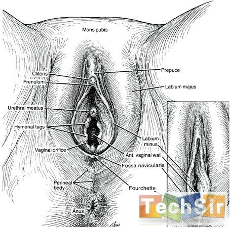 20110101160100_98781.jpg