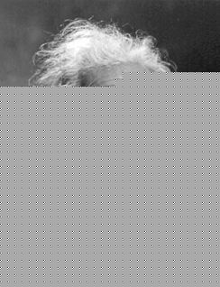 244px-Albert_Einstein_Head.jpg