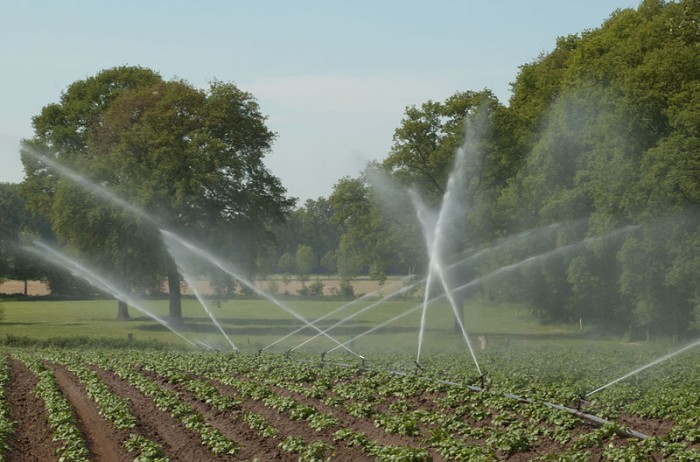 800px-Irrigation_system__Perrot__in_action.jpg