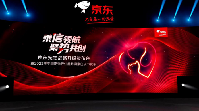 图片44