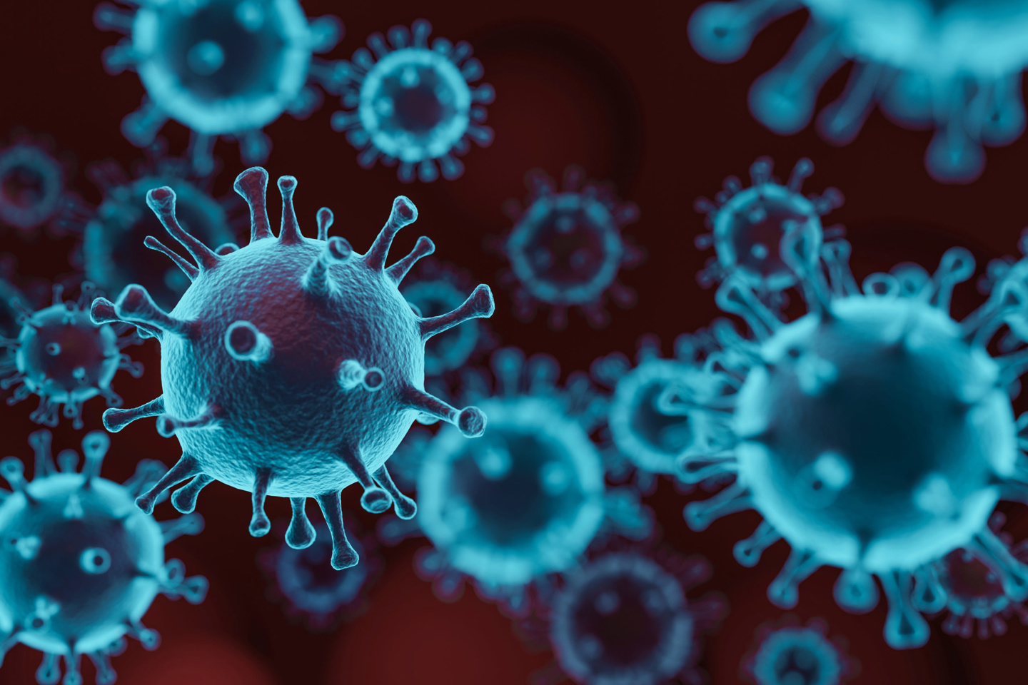Deciphering the Immune Response to Viral Infection