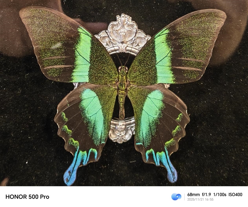 把8000mAh塞进直屏！荣耀500 Pro评测：开卷“全面旗舰”