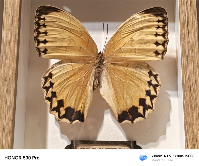 把8000mAh塞进直屏！荣耀500 Pro评测：开卷“全面旗舰”