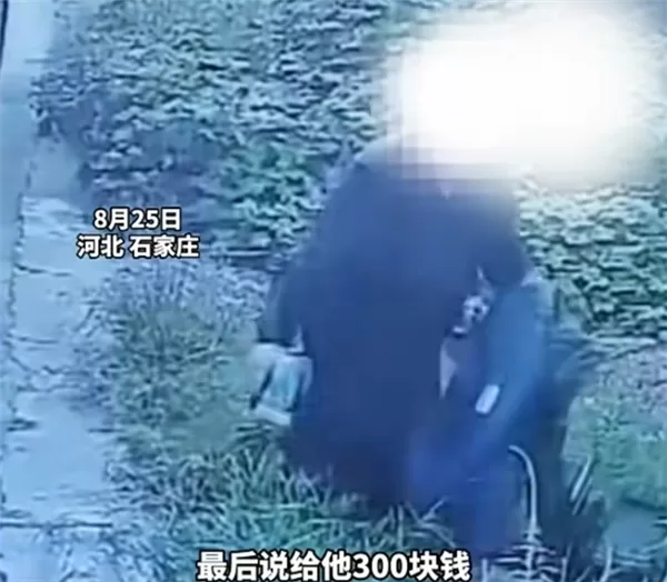 货车司机遇影帝级碰瓷:老人自己把车推沟里后装受伤要钱 赔付完发现上当