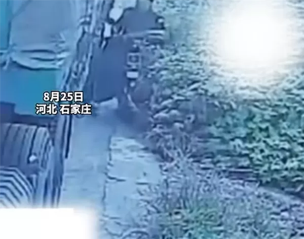 货车司机遇影帝级碰瓷:老人自己把车推沟里后装受伤要钱 赔付完发现上当